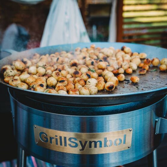 GrillSymbol stekhäll gasol PRO-580 inox, ø 58 cm