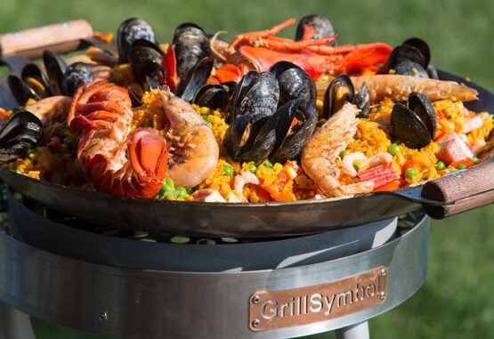 GrillSymbol stekhäll gasol PRO-460, ø 46 cm (Gratis överdrag och skyddspåse)