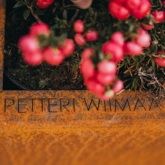Petteri Wiimaa Cortenkruka Fat Ballerina XL Begränsat antal till specialpris!