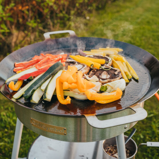 GrillSymbol stekhäll gasol Expert-580, ø 58 cm